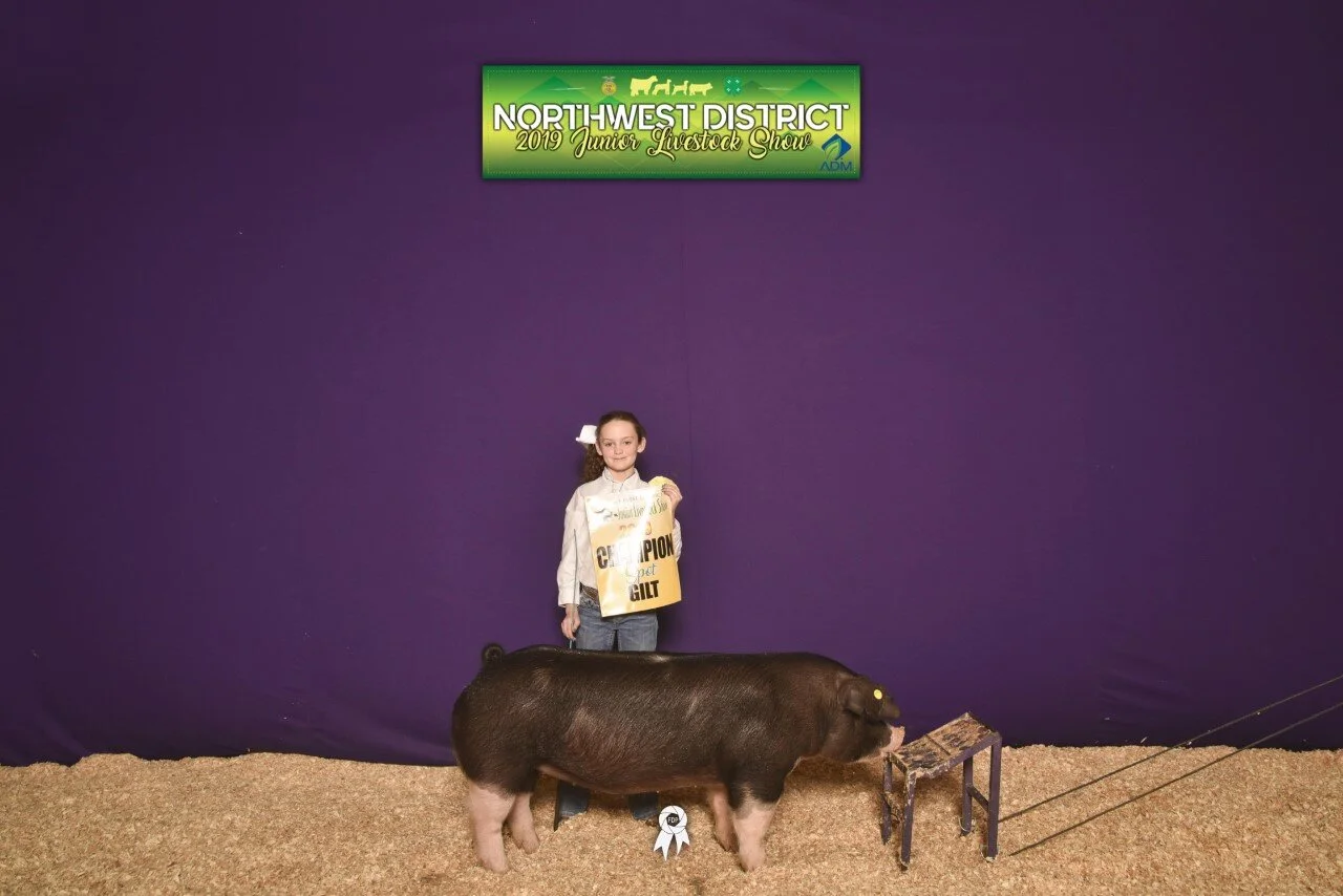 Bella Ball-NWDJLS Champion Spot Gilt.jpg