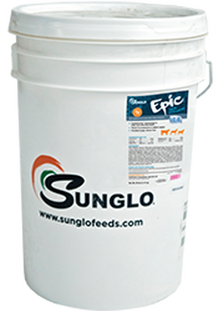 Sunglo_Epic.png