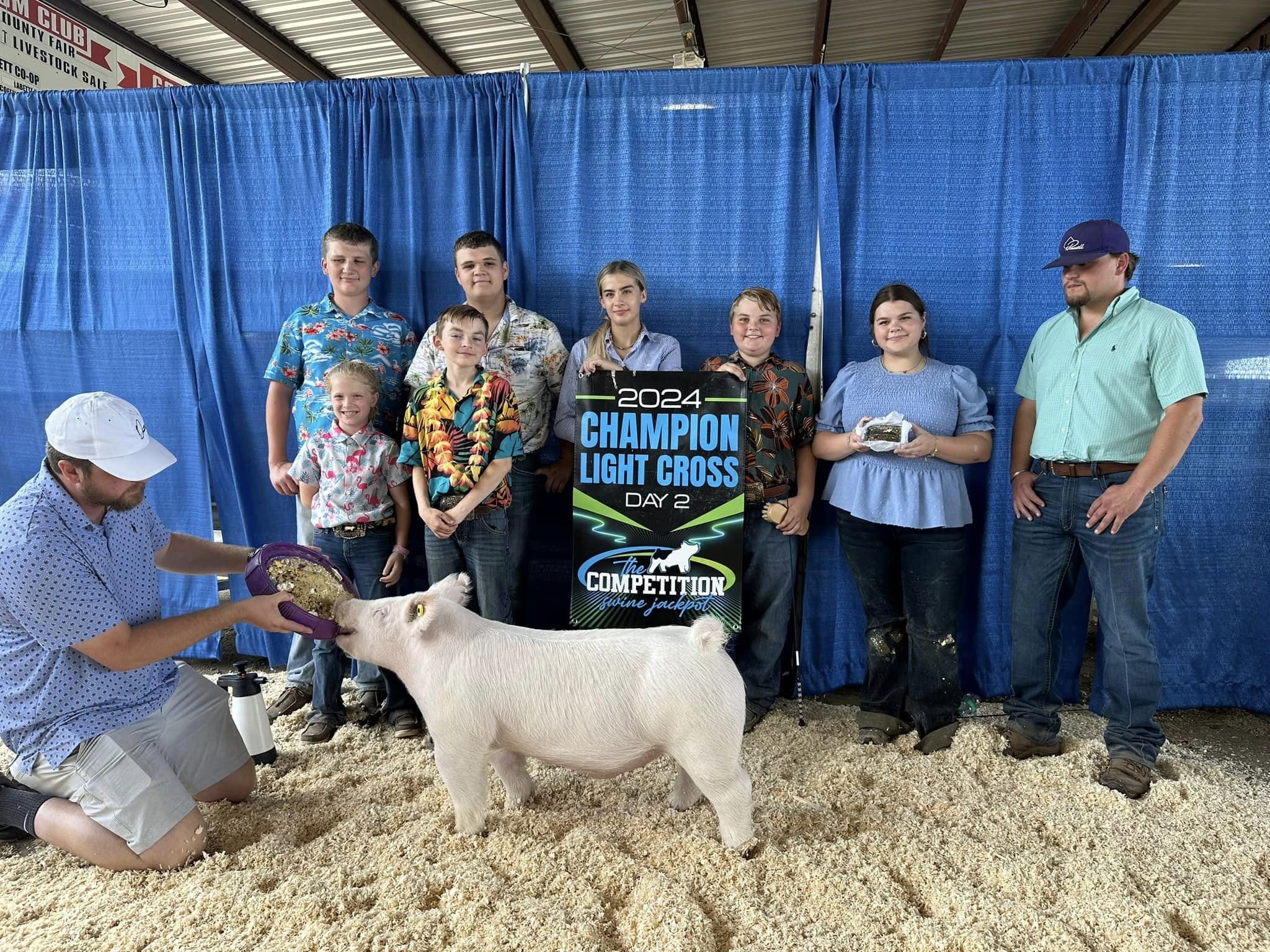 A group of people, including children and adults, pose behind a pig at an indoor livestock competition with a blue curtain backdrop. One person is feeding the pig, and a sign reads '2024 Champion Light Cross Day 2 The Competition Swine Jackpot'.