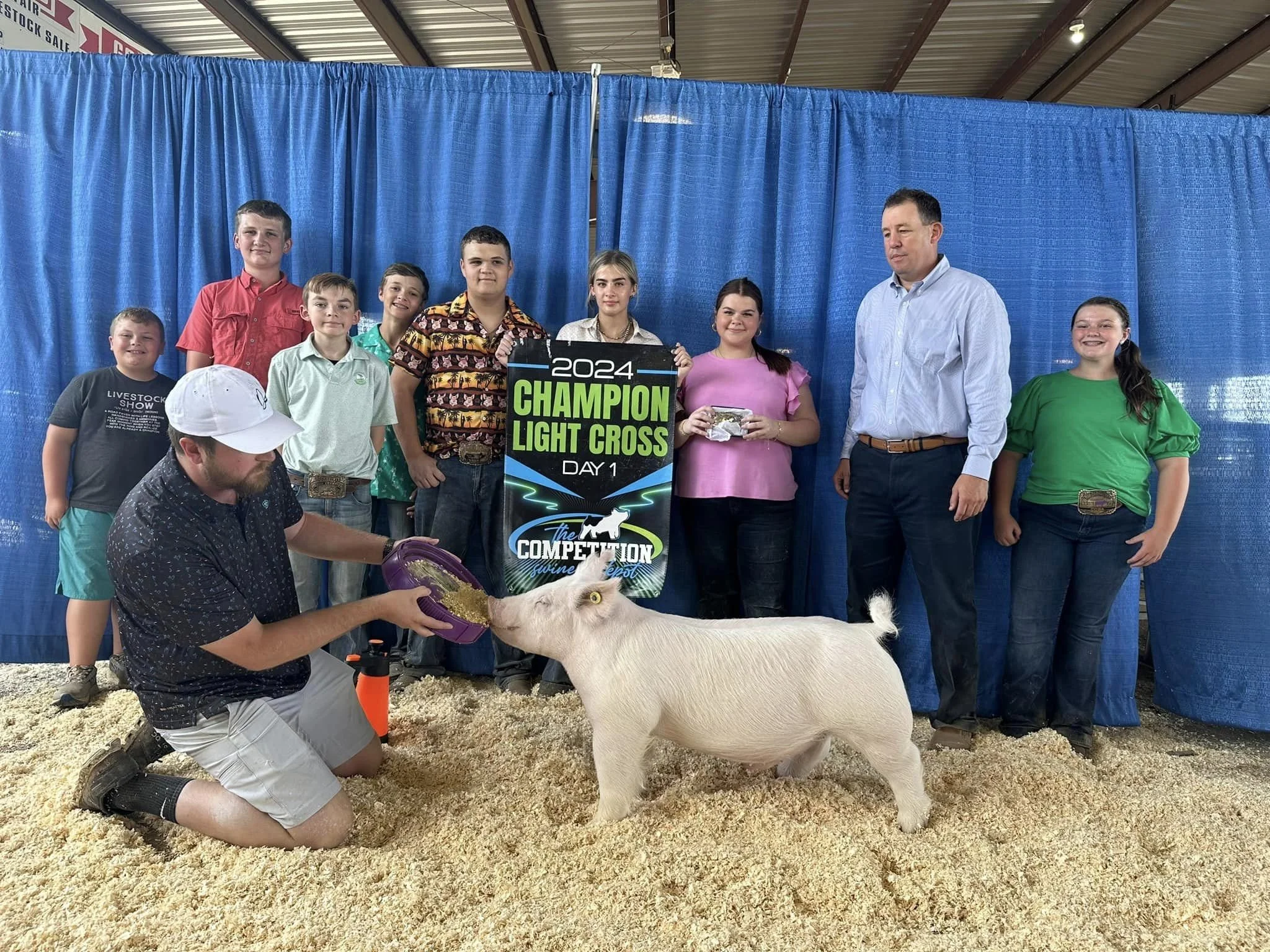 A group of young kids and two adults at a livestock show, with one girl holding a trophy, standing behind a pig and a man feeding it. They are on a bed of wood shavings, with a blue curtain backdrop and a sign that reads '2024 Champion Light Cross Day 1'.