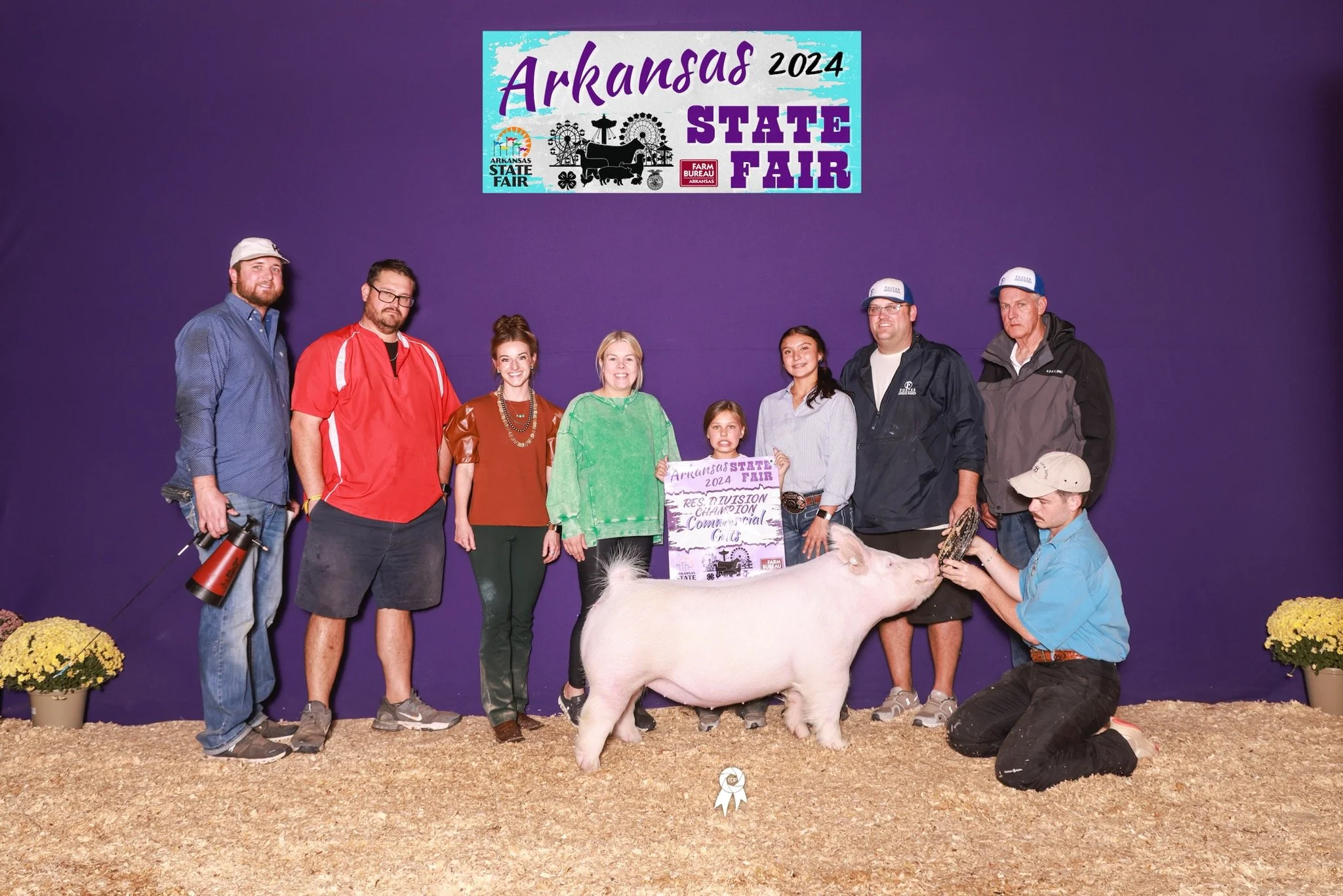 Group of nine people standing behind a pig at the Arkansas 2024 State Fair, with a purple background and a sign that reads 'Arkansas State Fair 2024, Res. To Division Champion Commercial Girls.' The people are smiling, and the setting appears to be an award ceremony.