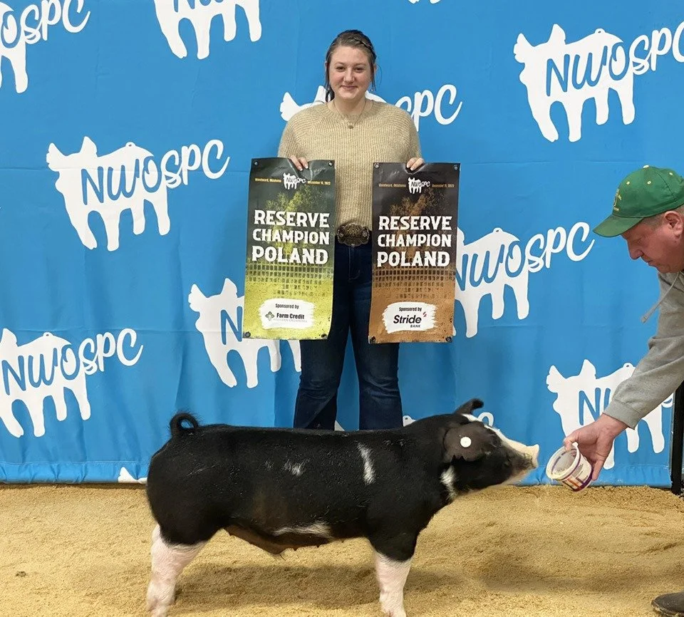 A young woman standing on a stage holding two championship reserve signs for pig shows, with a young pig in front and a man feeding it, at an event hosted by NWOSPC.