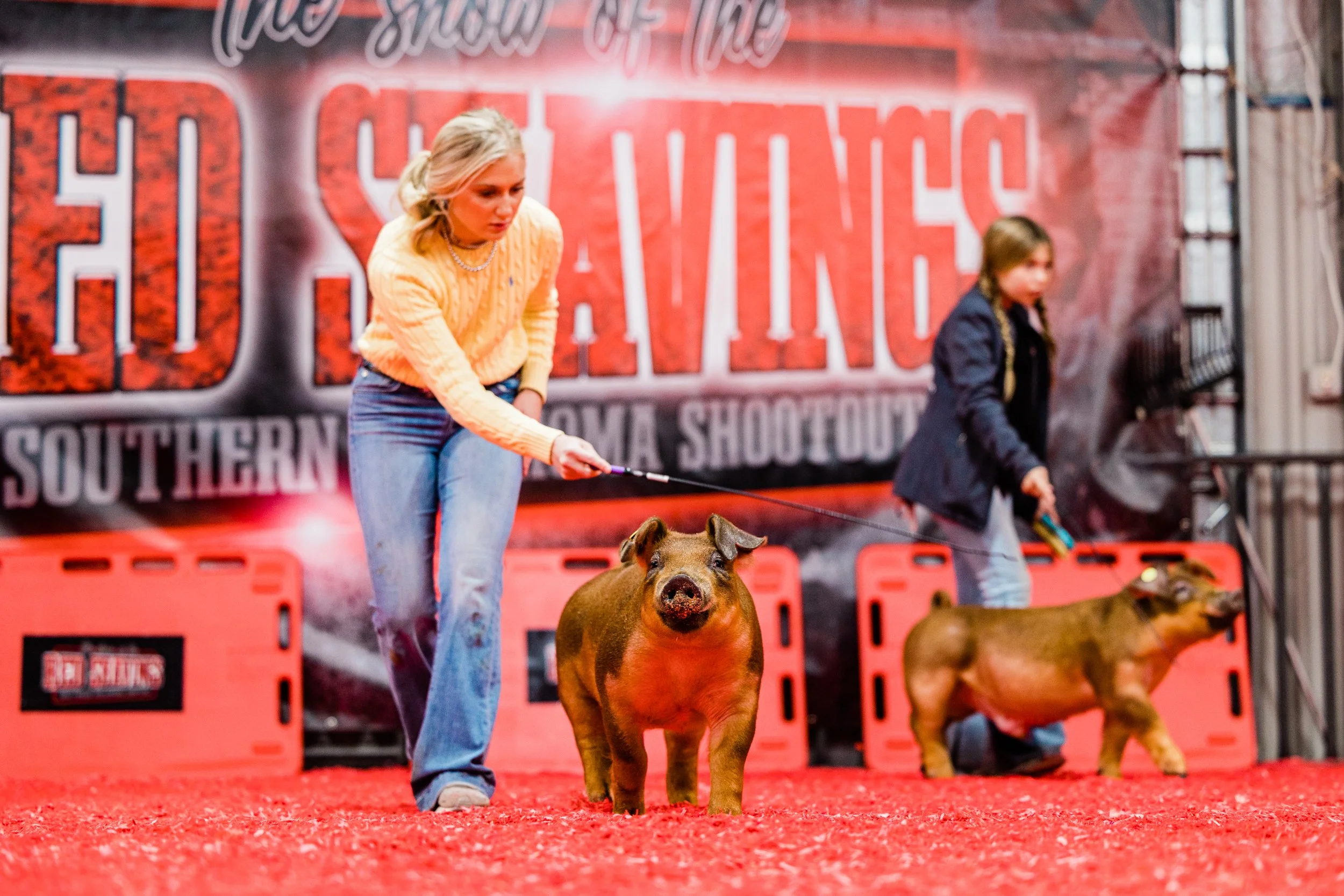 A woman and a girl participating in a pig show at a Southern Alabama event, with the woman handling a pig and the girl handling another pig, both on a red carpeted area.