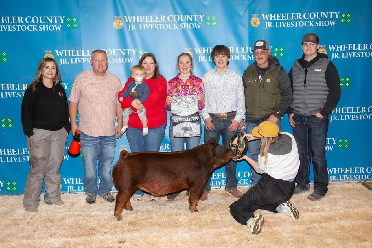 Group of people at the Wheeler County Jr. Livestock Show, including children, adults, and a pig. One girl holds a sign that says 'Grand Champion.' A woman is kneeling and presenting the pig to a girl wearing a yellow hat. The background features a blue banner with event details.