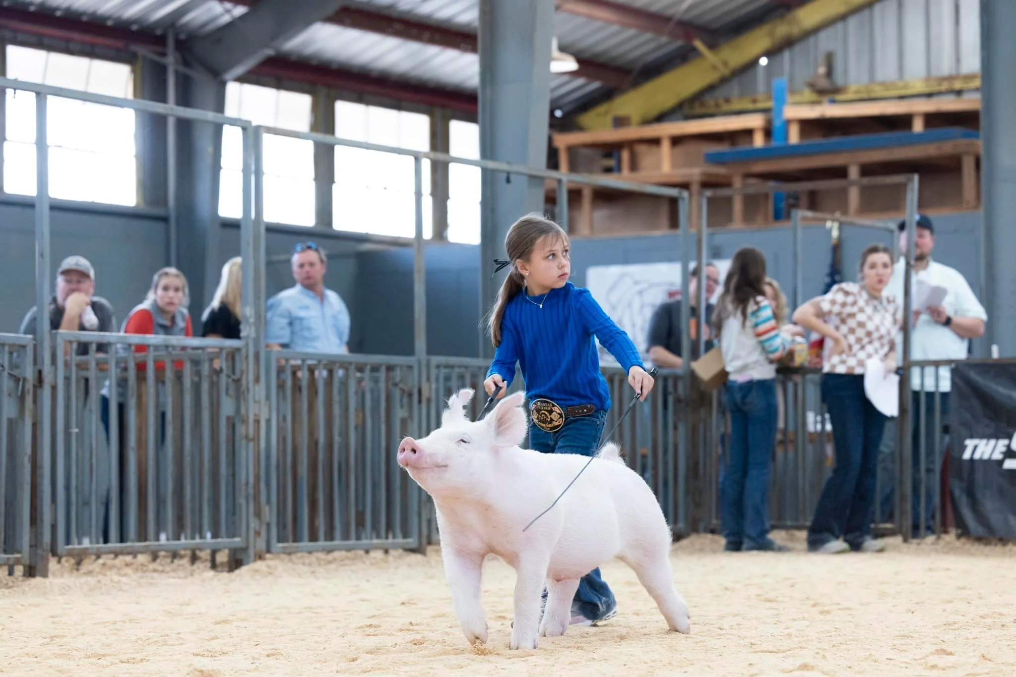A young girl in a blue shirt leading a pig in a livestock show arena, with people observing behind a metal fence.