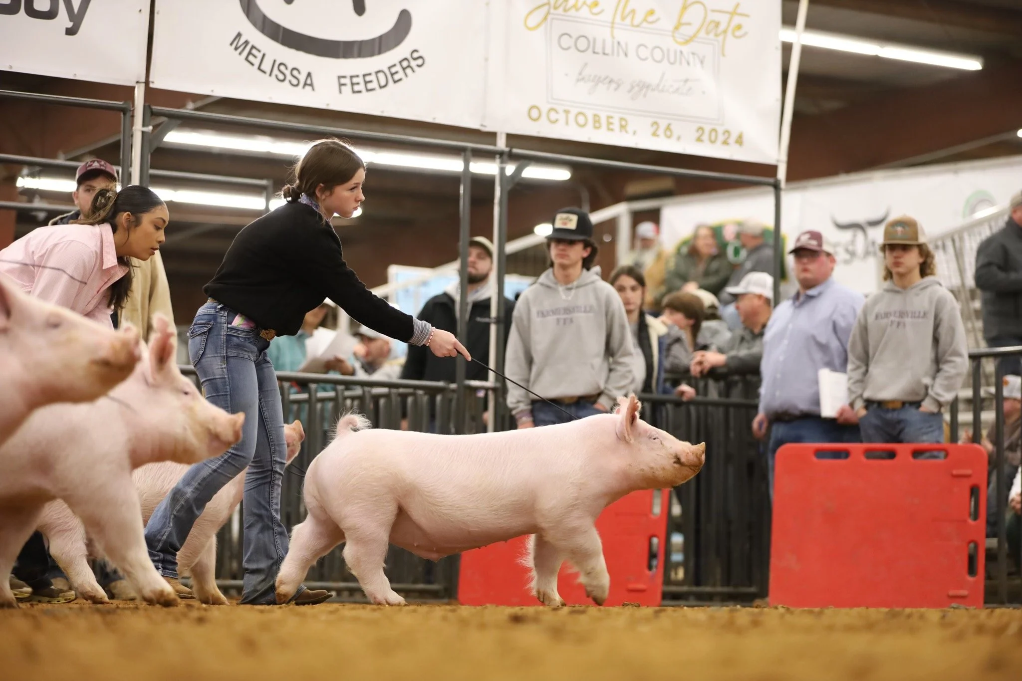 Young woman showcasing a pig at a livestock show, with onlookers observing behind a barrier.