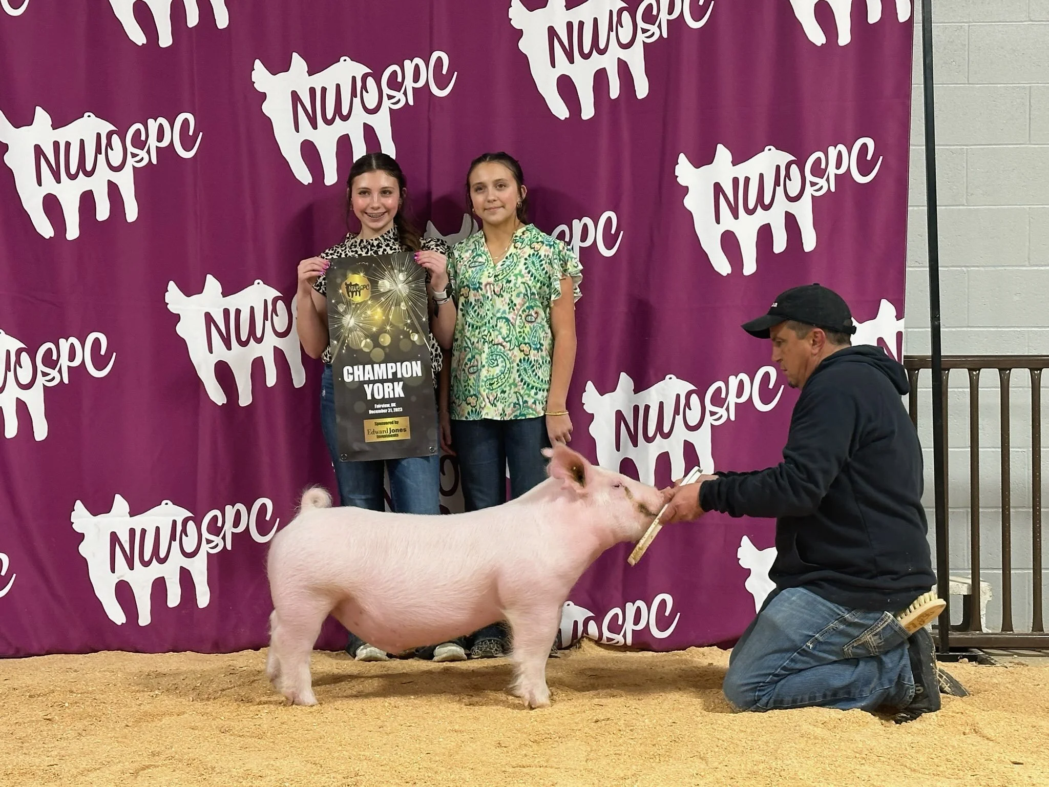 Two young girls standing behind a pig, holding a championship award banner at a livestock event. A man kneels in front of the pig, feeding or examining it. The backdrop displays purple banners with white pig outlines and the text">U/OSPC".