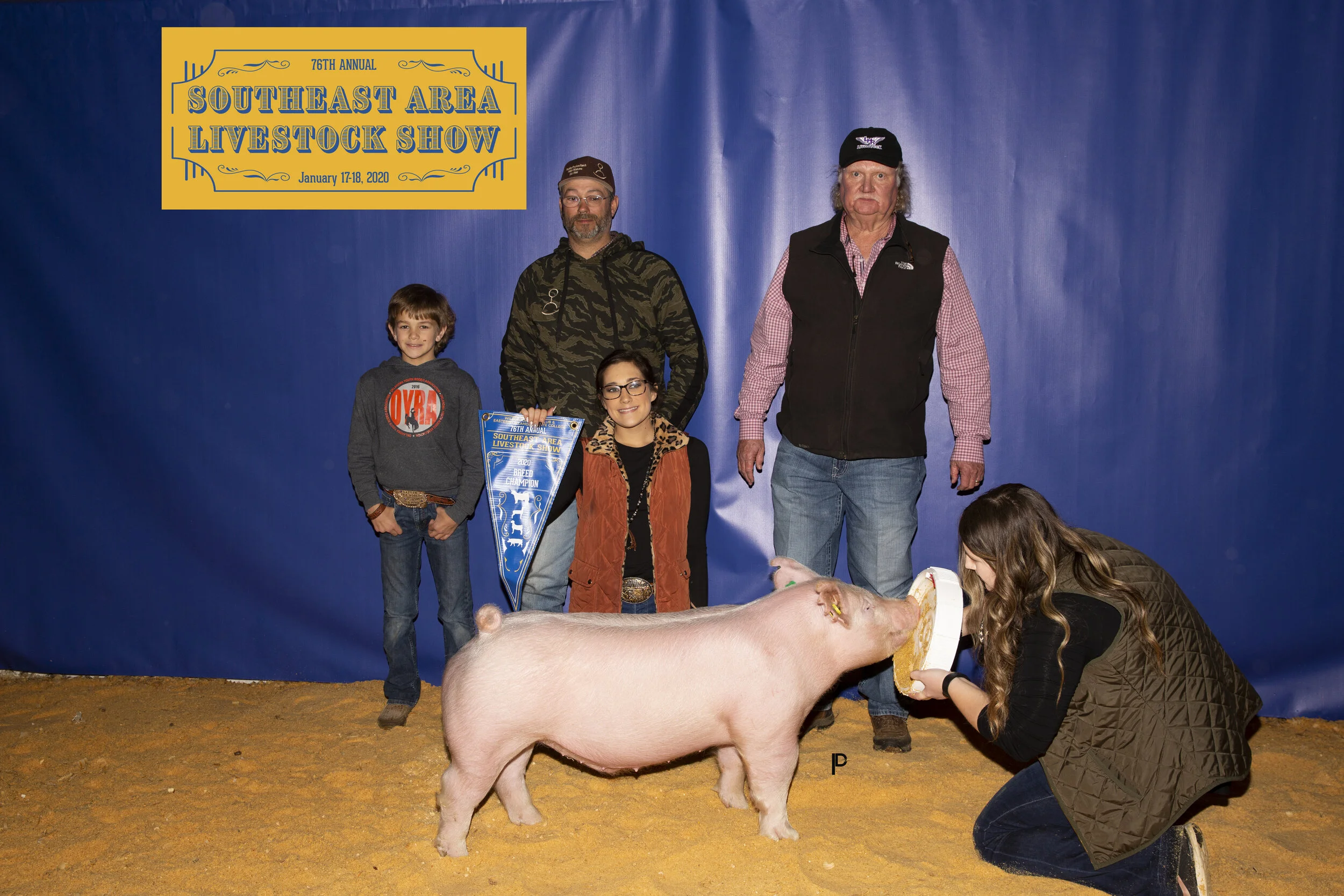 Champion York SE Area Livestock Show out of same mother