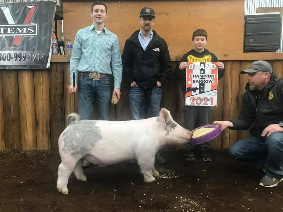 Sired by Blue Duck   -   Raised by Holden Bell