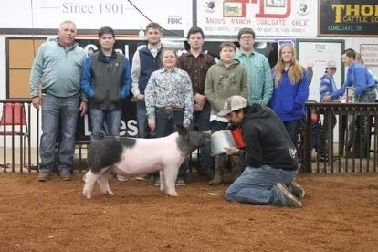 Sired by Blue Duck   -   Raised by Teel Showpigs