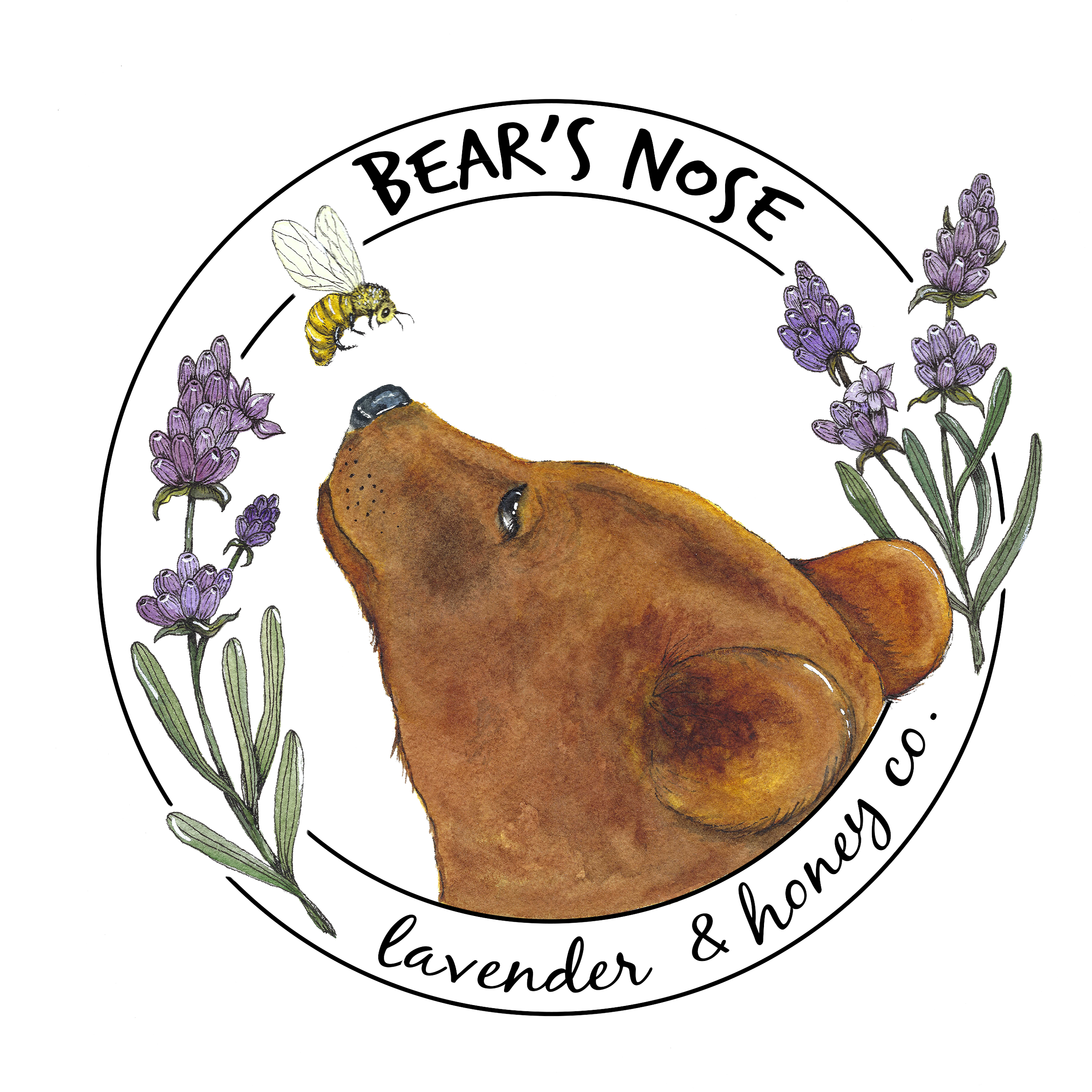 A circular logo for Bear's Nose lavender and honey company featuring an illustrated bear's nose, a bee, and purple lavender flowers.
