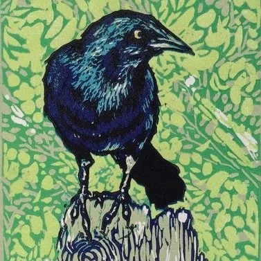 Laurie Brooks grackle (2022_10_03 03_47_49 UTC).jpeg