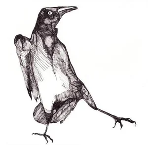 maggie+rose+grackle.webp