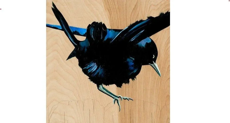 By Carly Weaver, Austin Artist