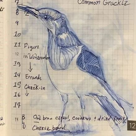 By A Bird Nerd