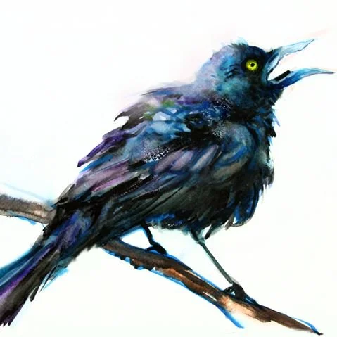 Grackle by Elena Caravela