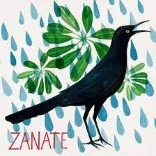 zanate rain painting.jpeg