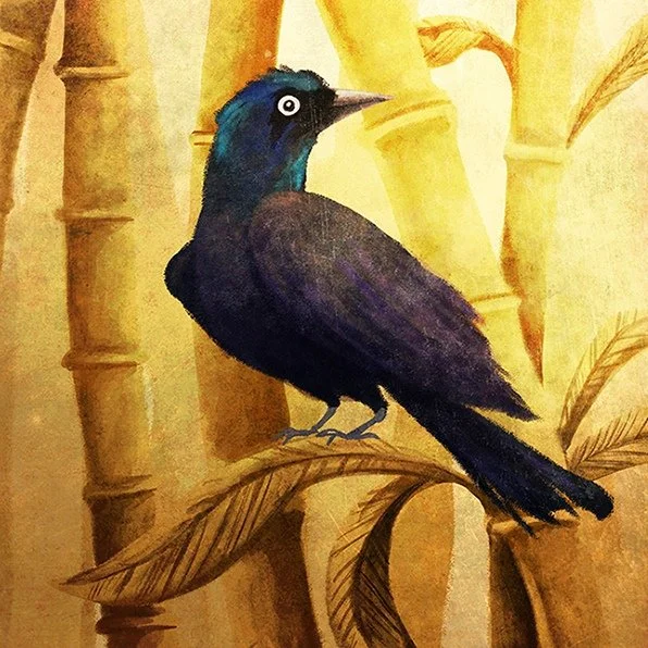 grackle_and_bamboo_by_ceallach_monster-dcdx91x.jpg