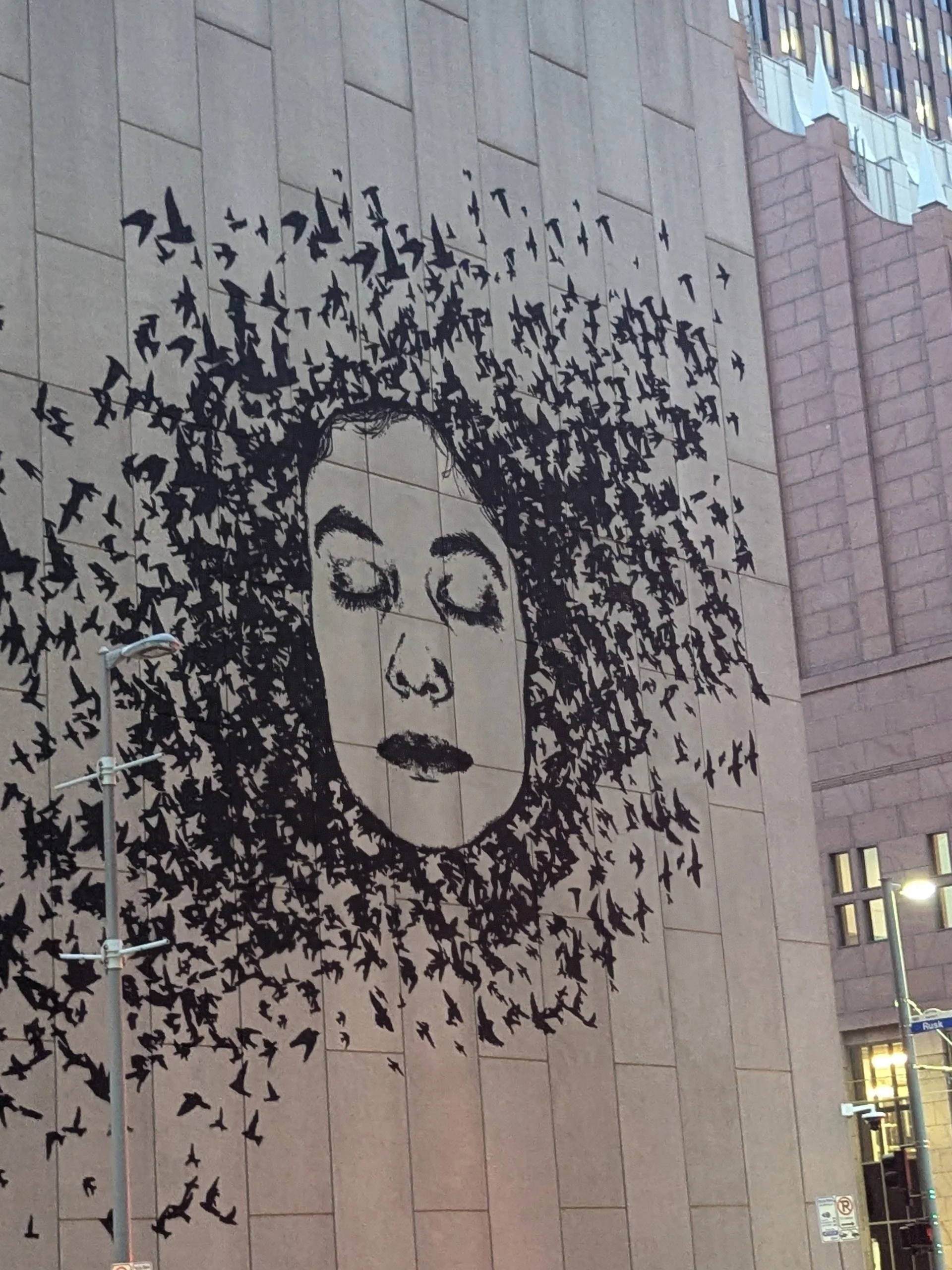 Street Art, Houston, Texas