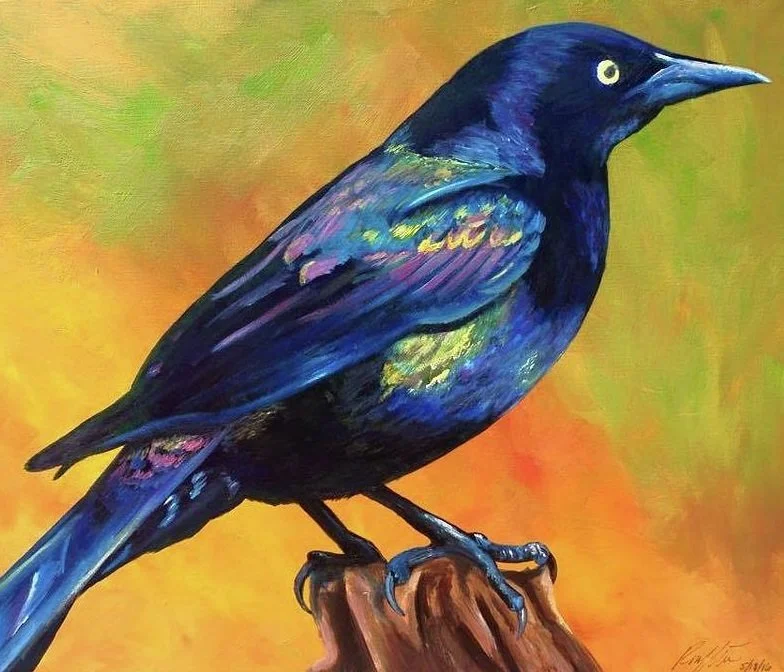 grackle-rory-viale.jpg