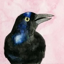 redbubblegrackle.jpg