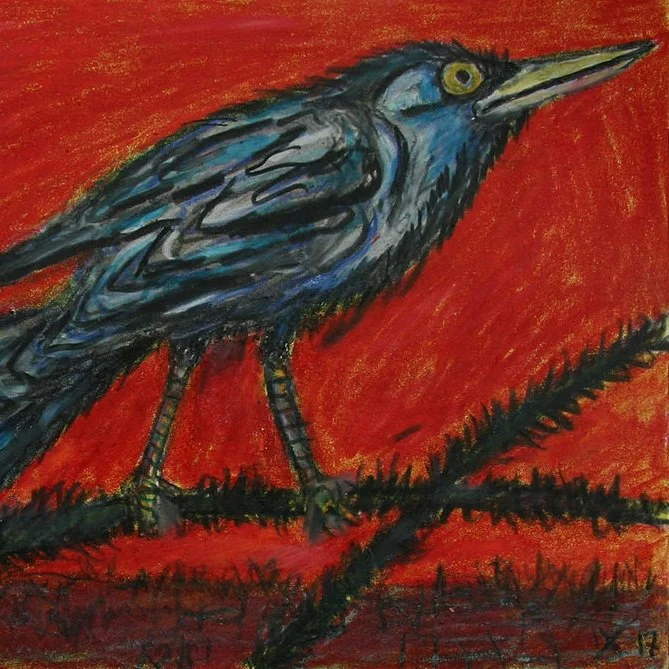 GrackleRed5X7__17.jpeg