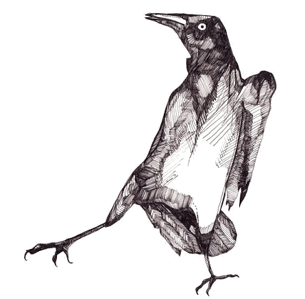 Grackle with foot sticking out.