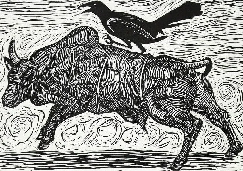 maria cantu bull.jpg