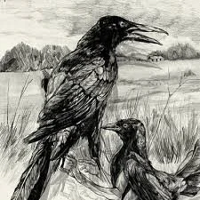 charcoal Felipe Trujillo grackle.jpeg