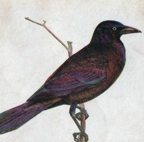 vintage artist unknown.jpg