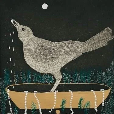 El Zanate y Sus Perlas by Alba Paramo