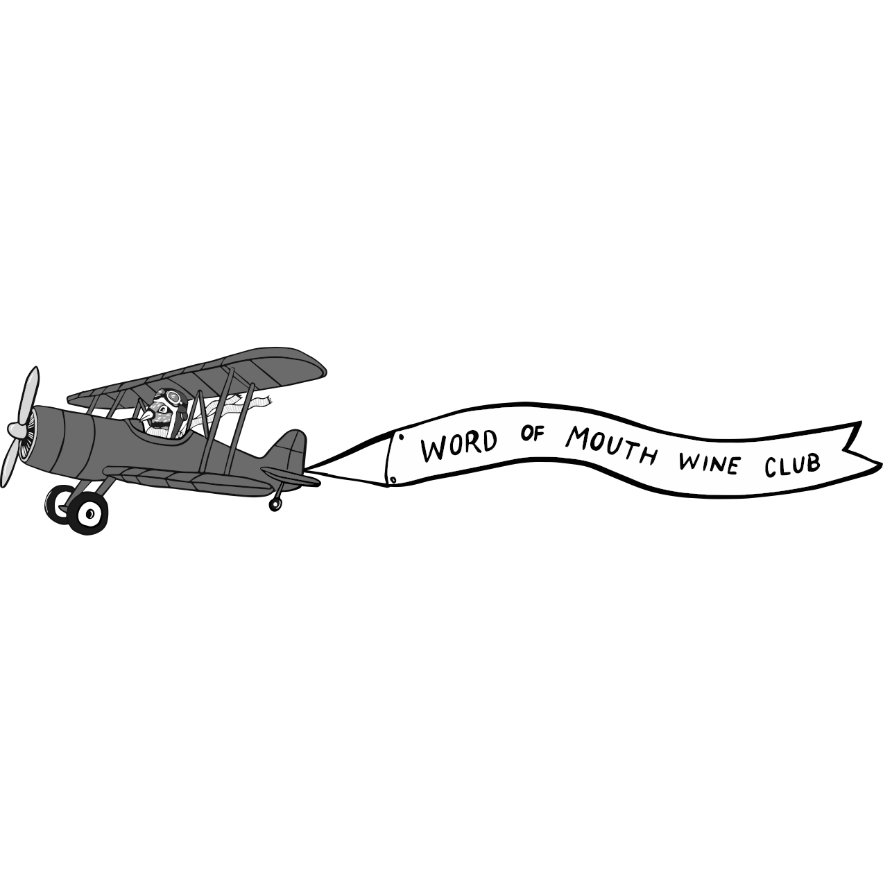 biplane-gallery-animation.png