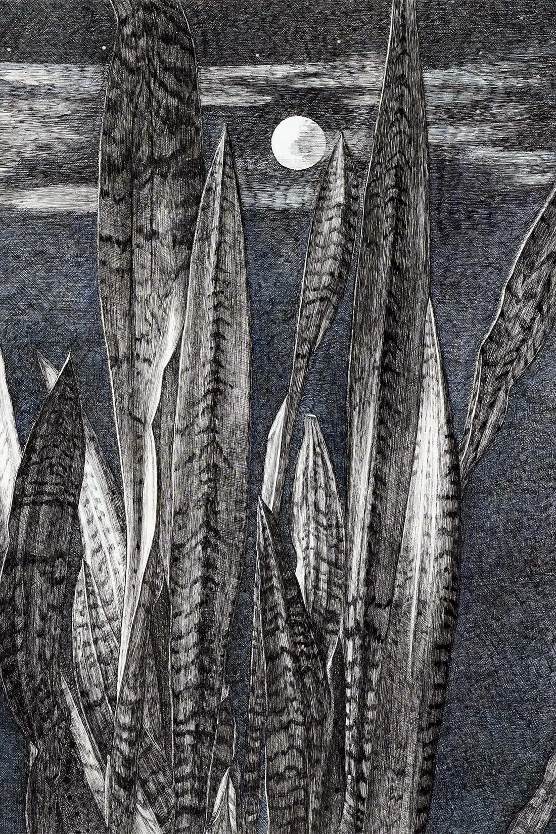 Moon and Snakes (2020) H22.5"x H30" Sumi ink, Colored pencils on Paper