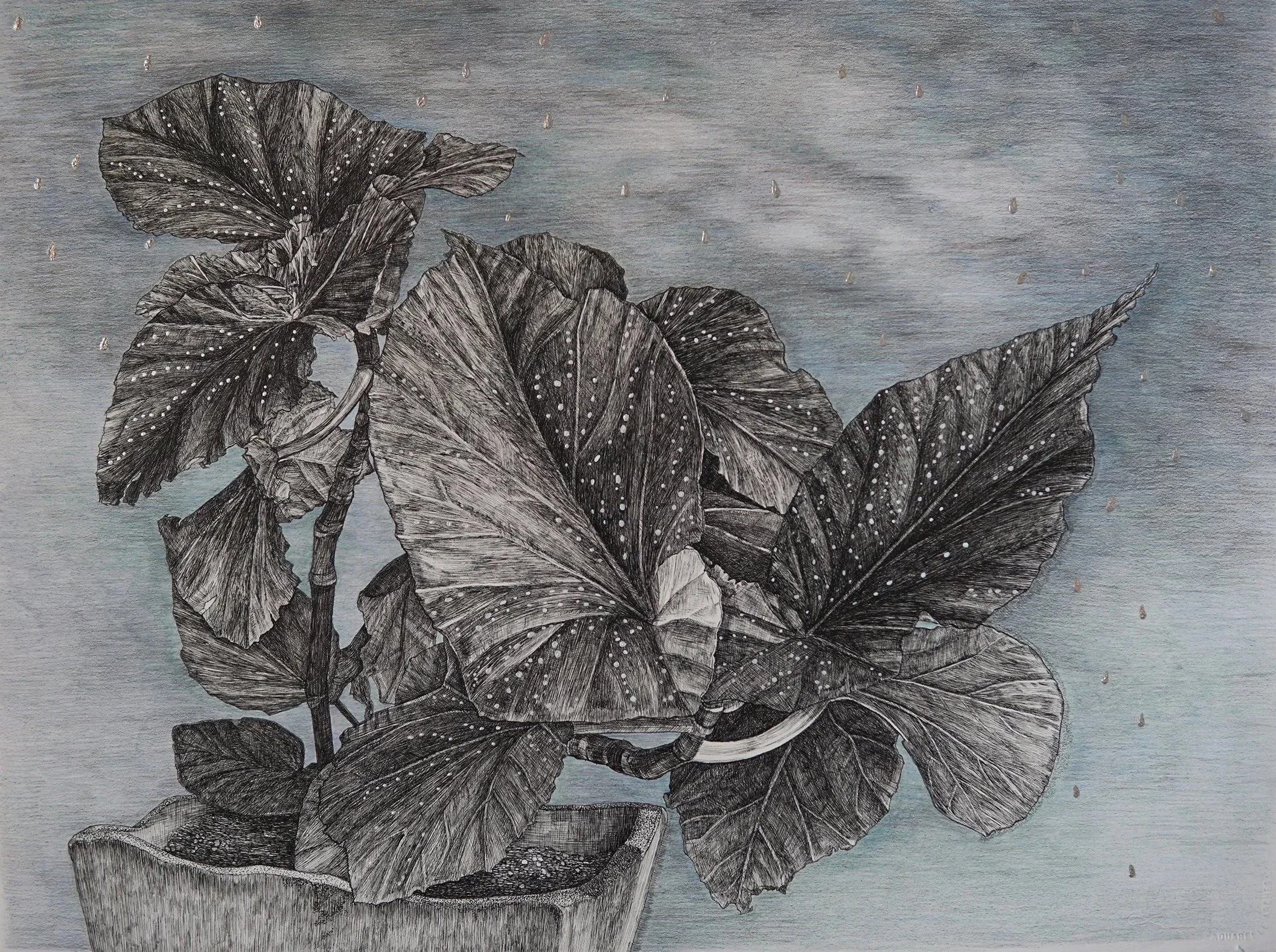 After the rain (2020) H22.5"x W30" Sumi ink, Colored pencils, Acrylics on Paper