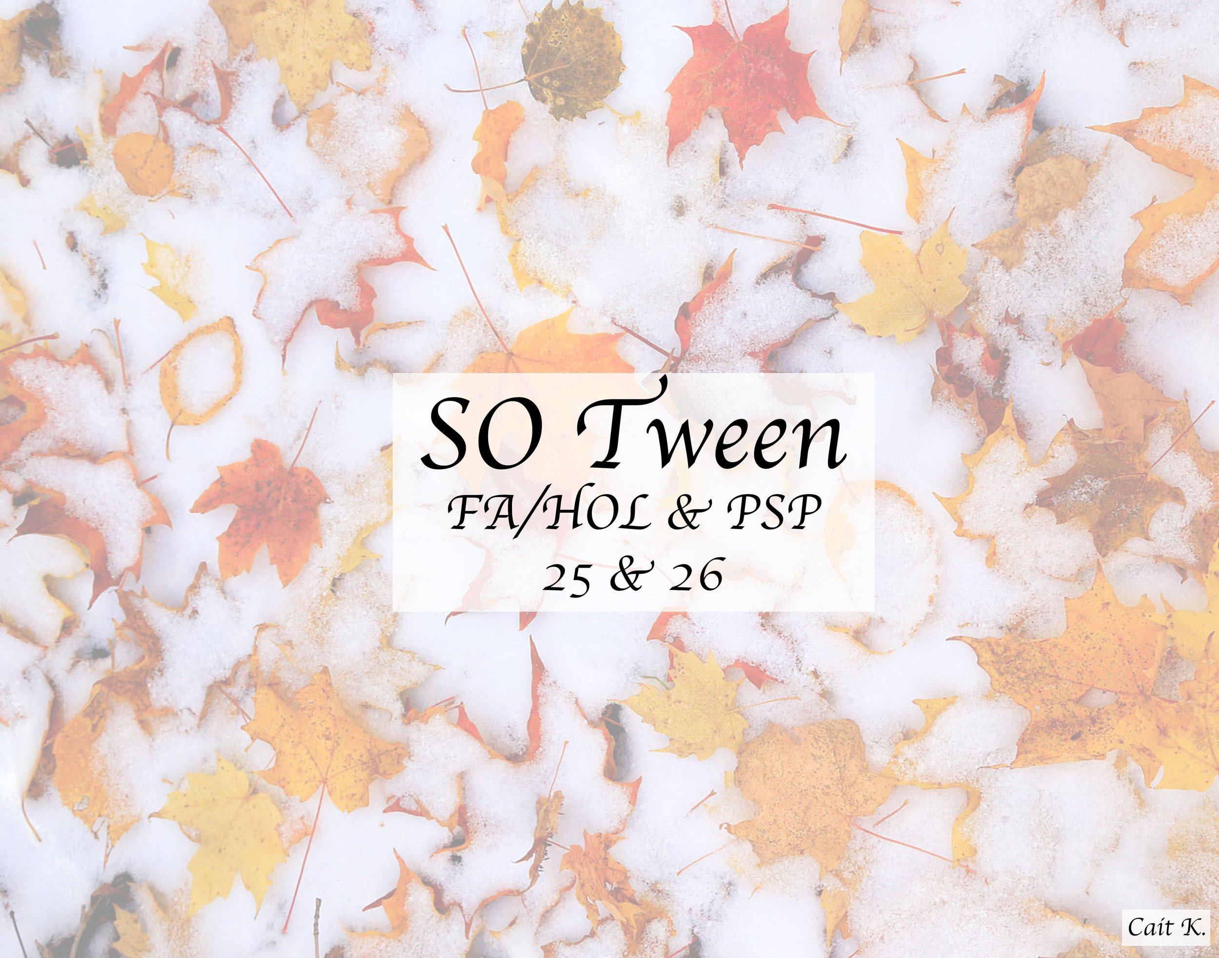 Fall/Holiday & Pre-Spring 2025 & 2026