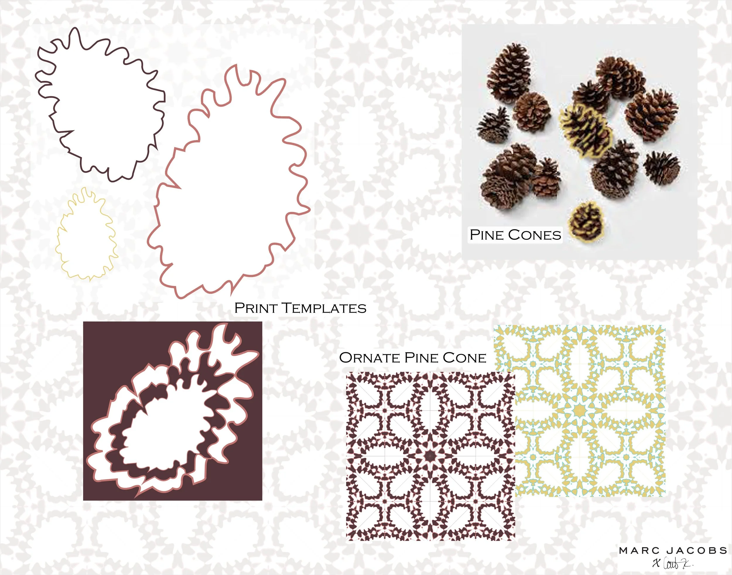 Pine Cone Print Development