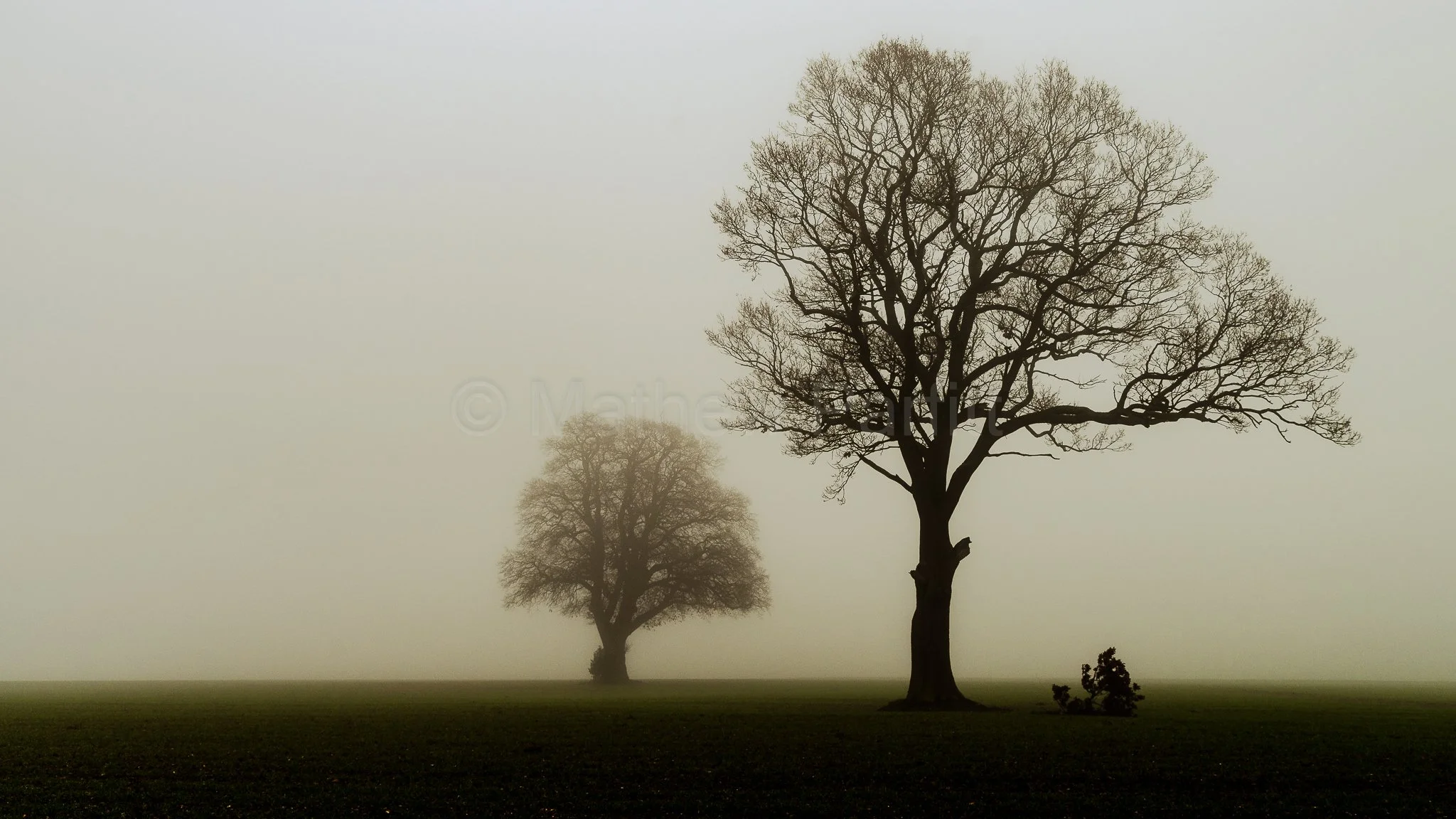 Episode 02: The Rituals We Lost (And Why They Still Matter)