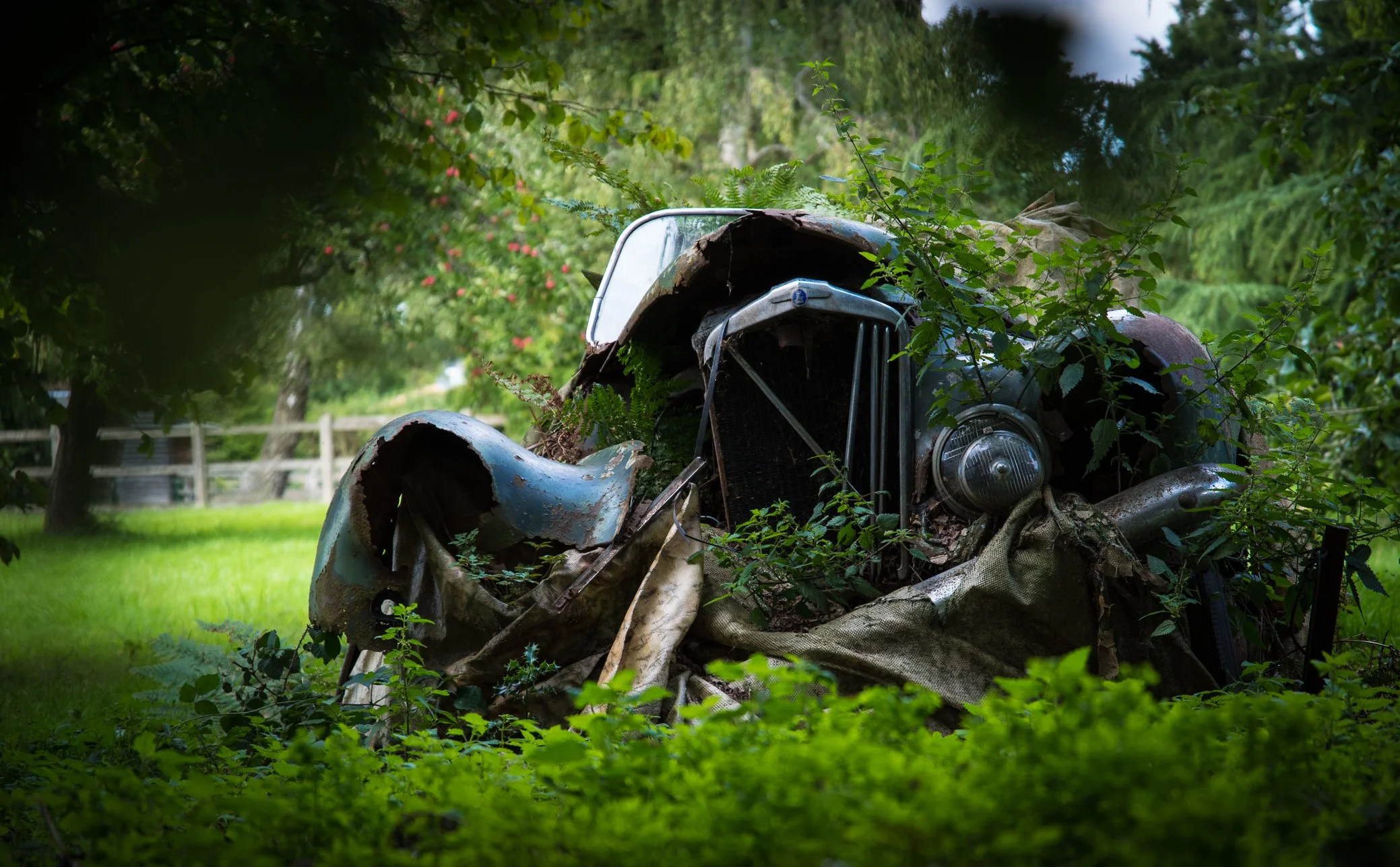Abandoned Car 1 (1 of 1).jpg