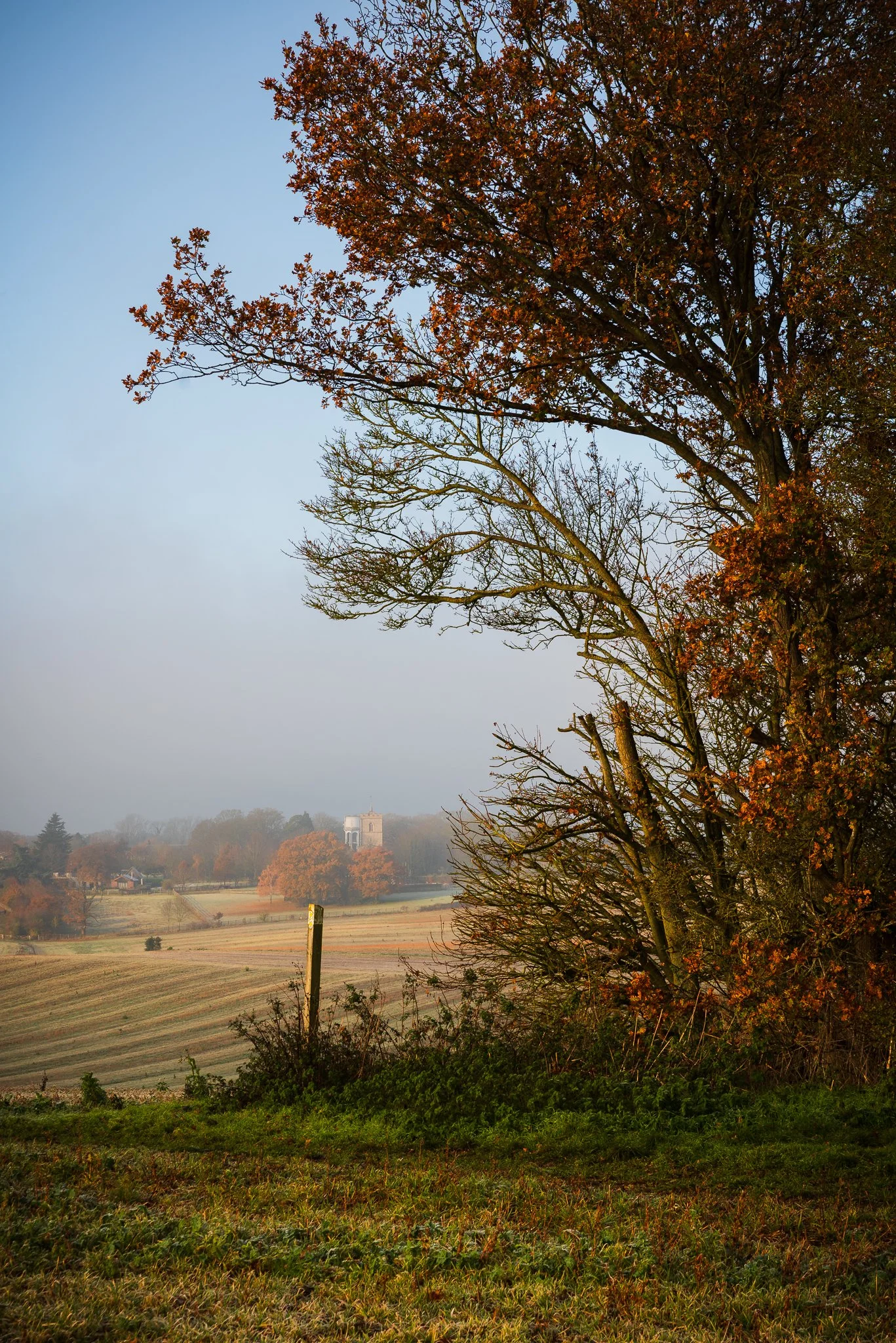 Codicote Morning.jpg