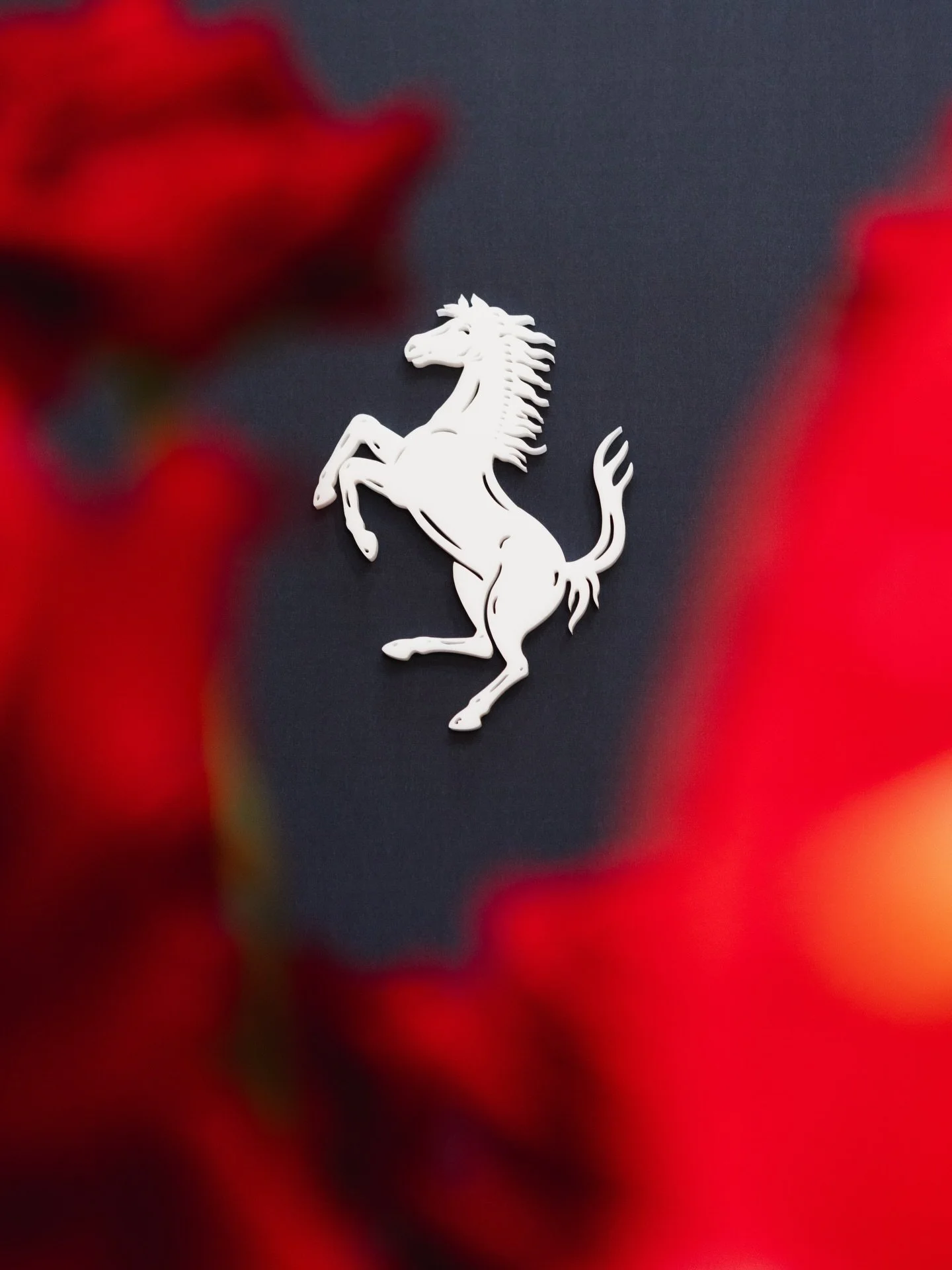 Detail shots from this year's Esperienza Ferrari 🐎 

#Ferrari #EsperienzaFerrari #workingwithferrari