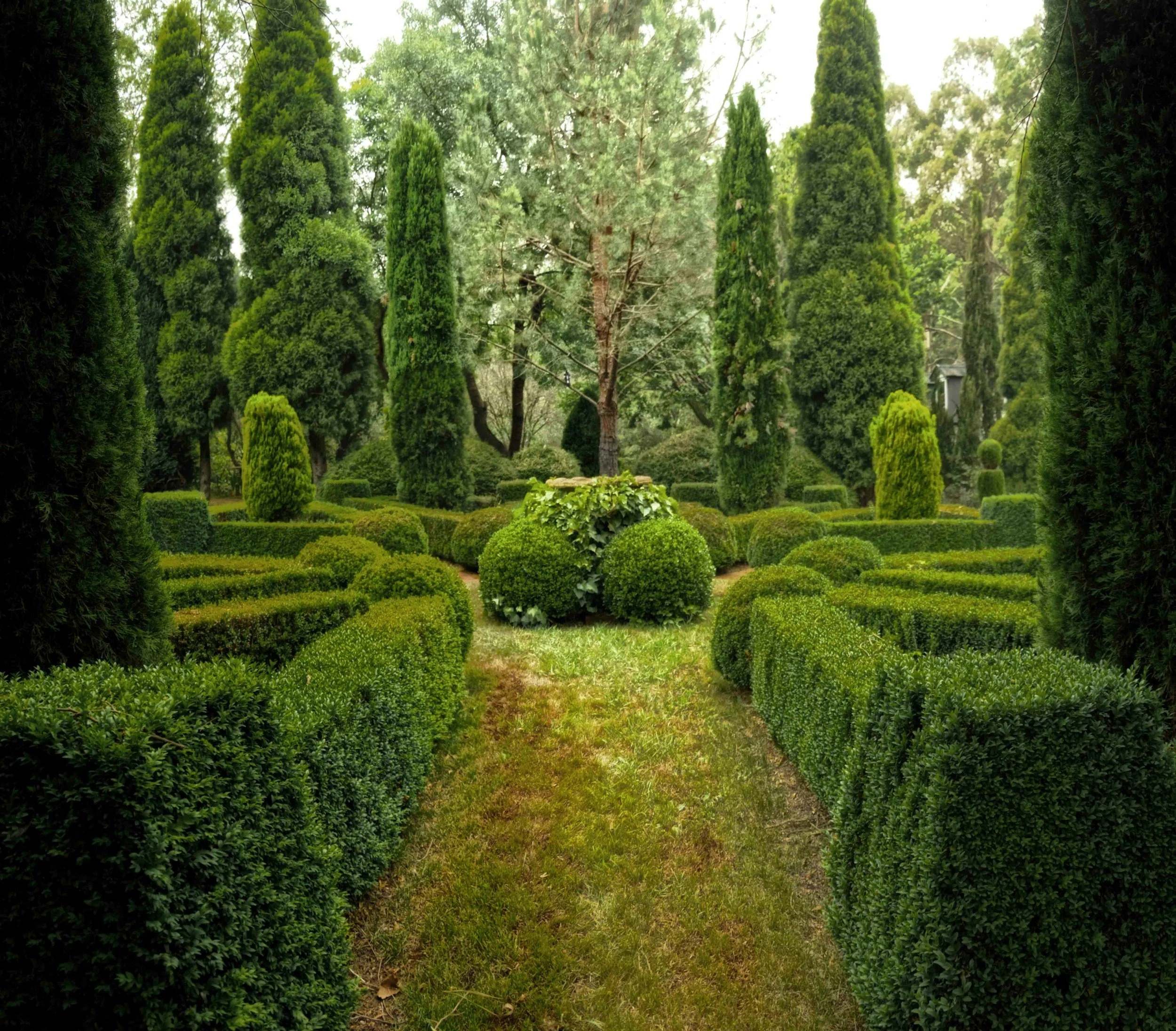 A lush, well-maintained garden with trimmed bushes and tall, narrow trees lining a grassy pathway.