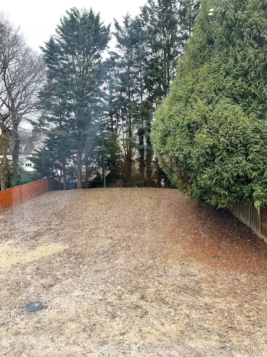 A backyard with brown dirt ground, green hedges on the right, tall pine trees and bare trees in the background, and a wooden fence on the left under an overcast sky.