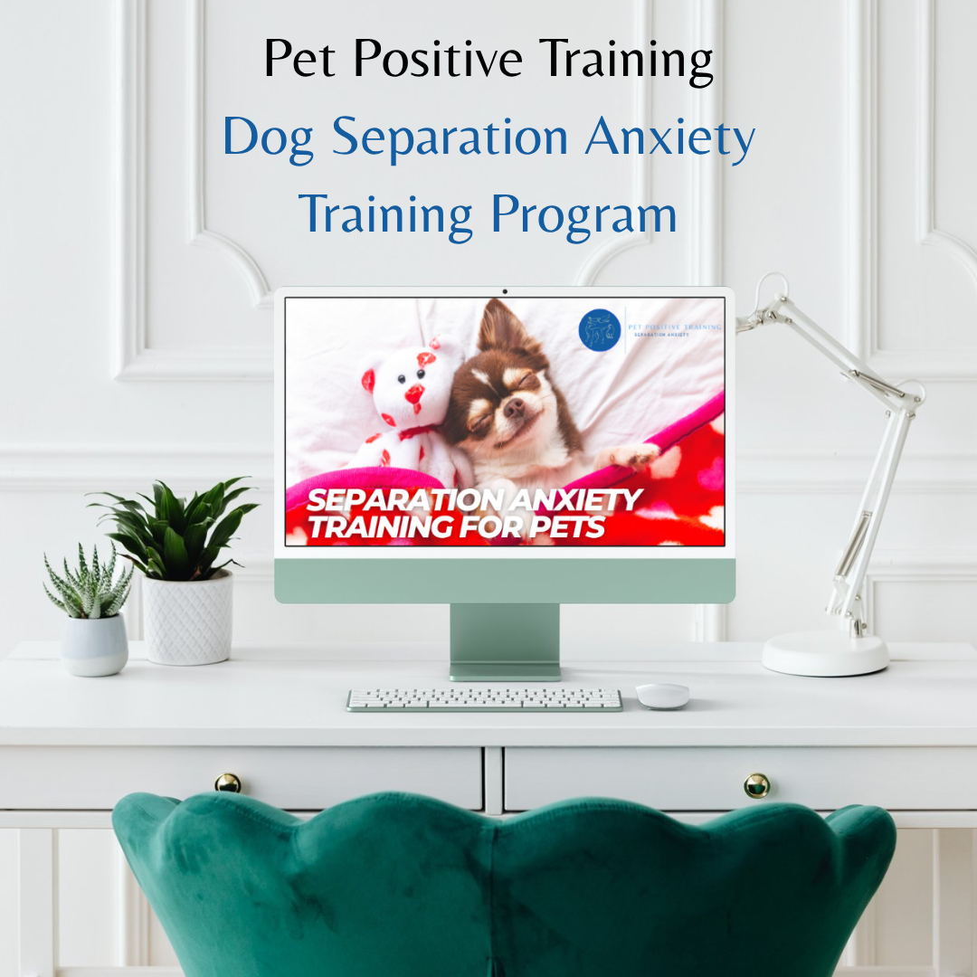 So how does Pet Positive Training’s separation anxiety program work?