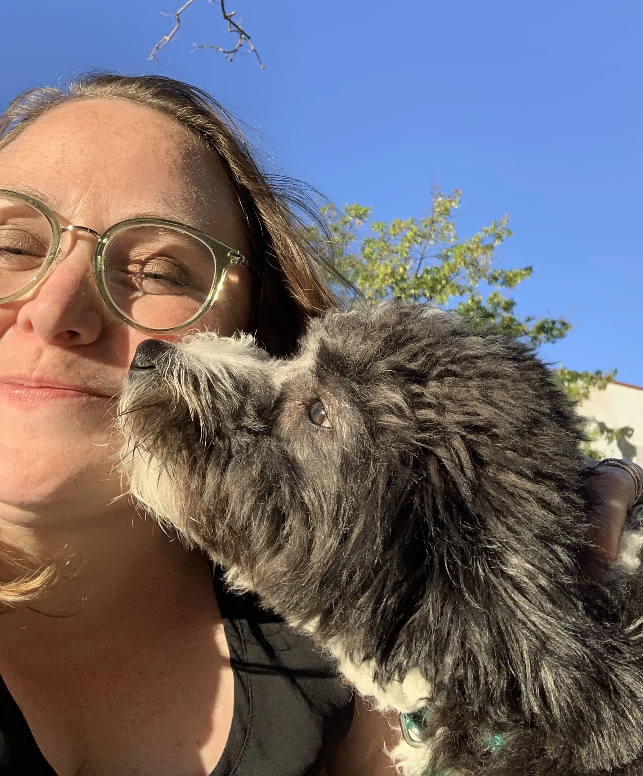 Bowie is a black and white border collie, poodle mix. He is nuzzling his nose against his person, a woman with brown hair blown in the wind, glasses with clear rims, and smiling.