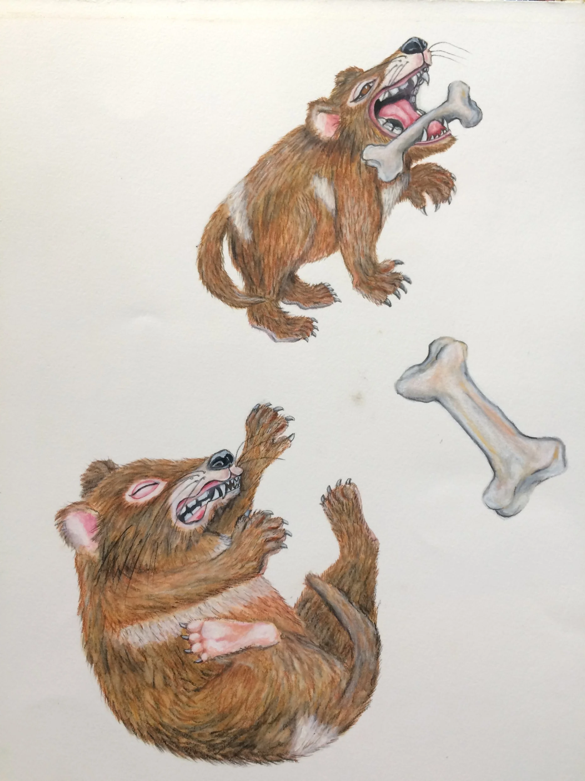 Children's Book Illustration