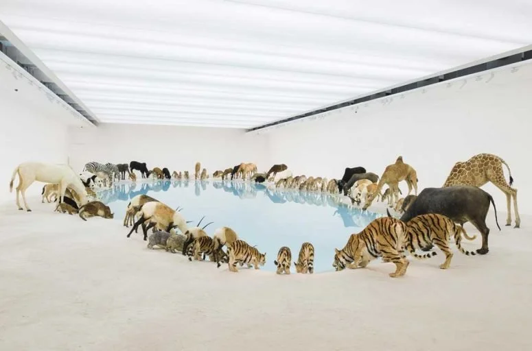 Sculpture Technician - photography of 99 animals for CAI exhibition...