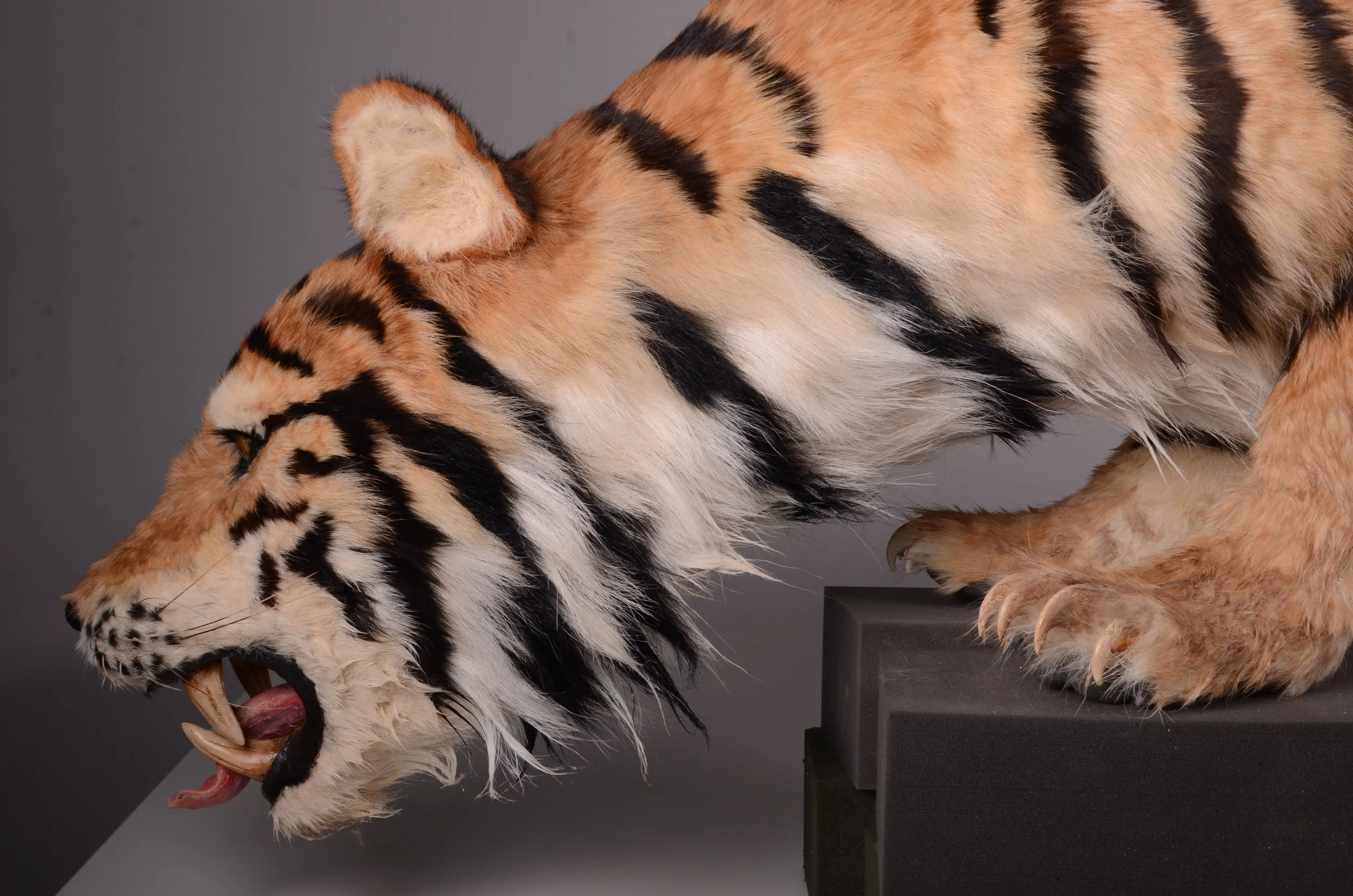 Sculpture Technician - photography of 99 animals, CAI exhibition