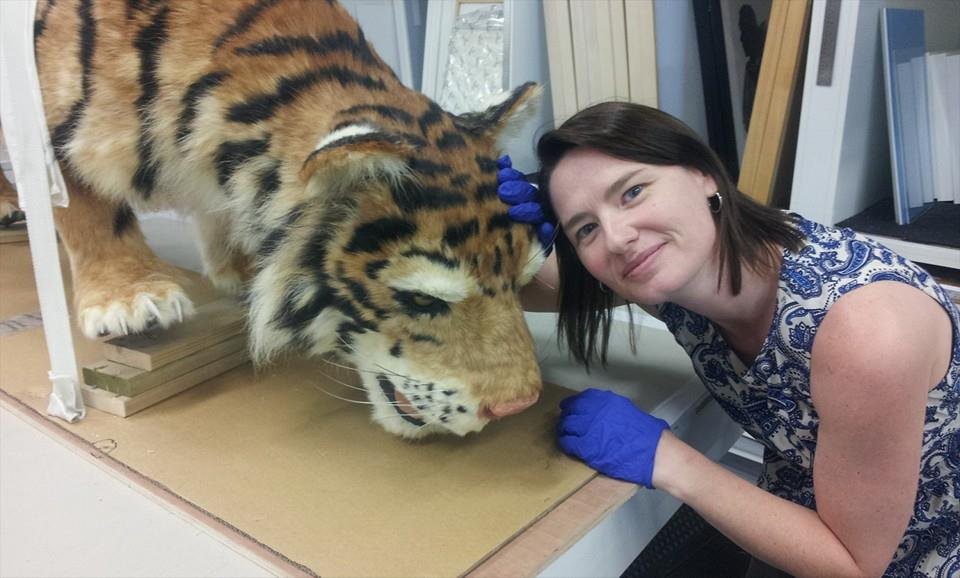 Sculpture Technician - condition reporting and photography, CAI exhibition