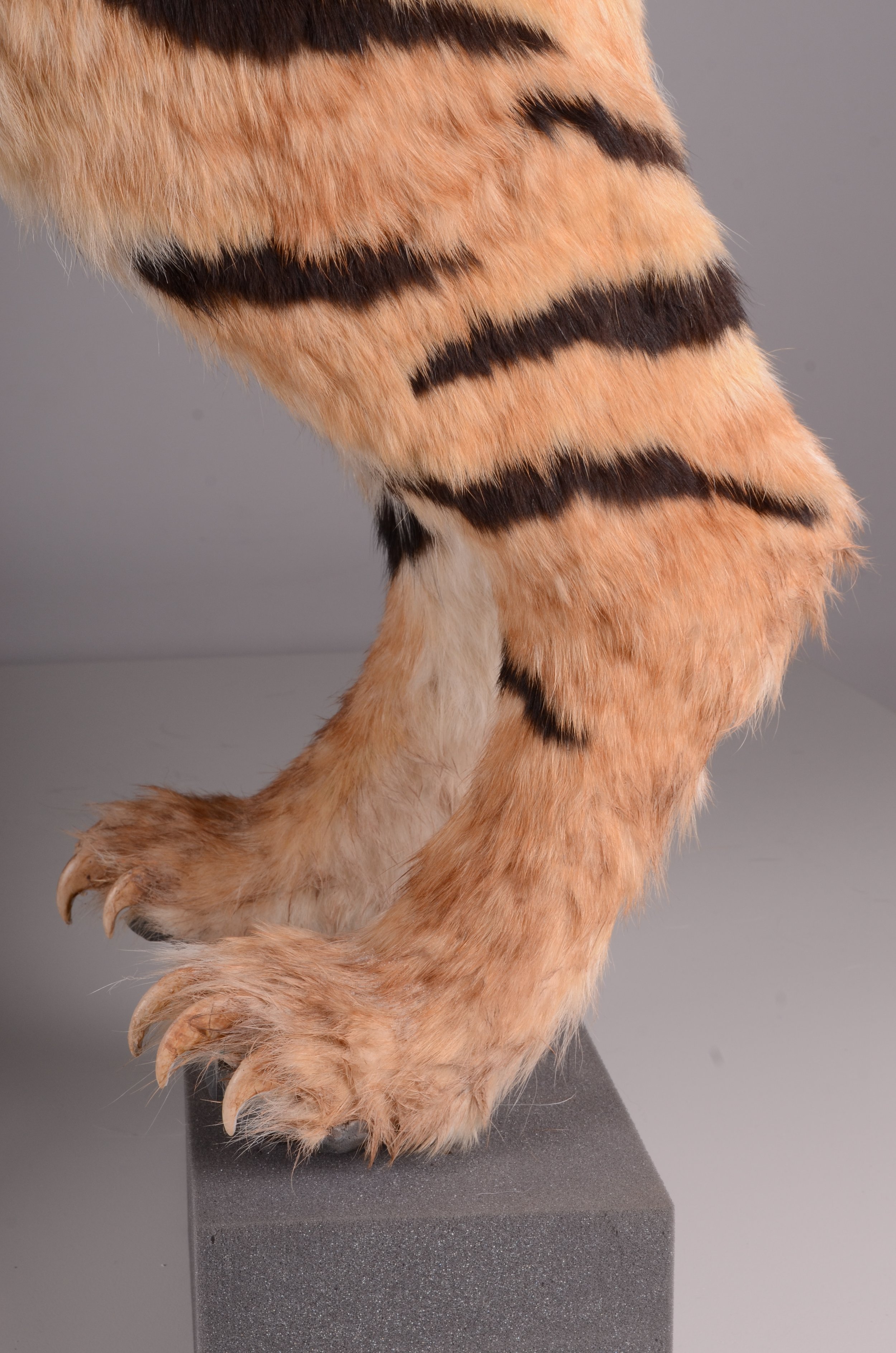 Sculpture Technician - photography of 99 animals, CAI exhibition