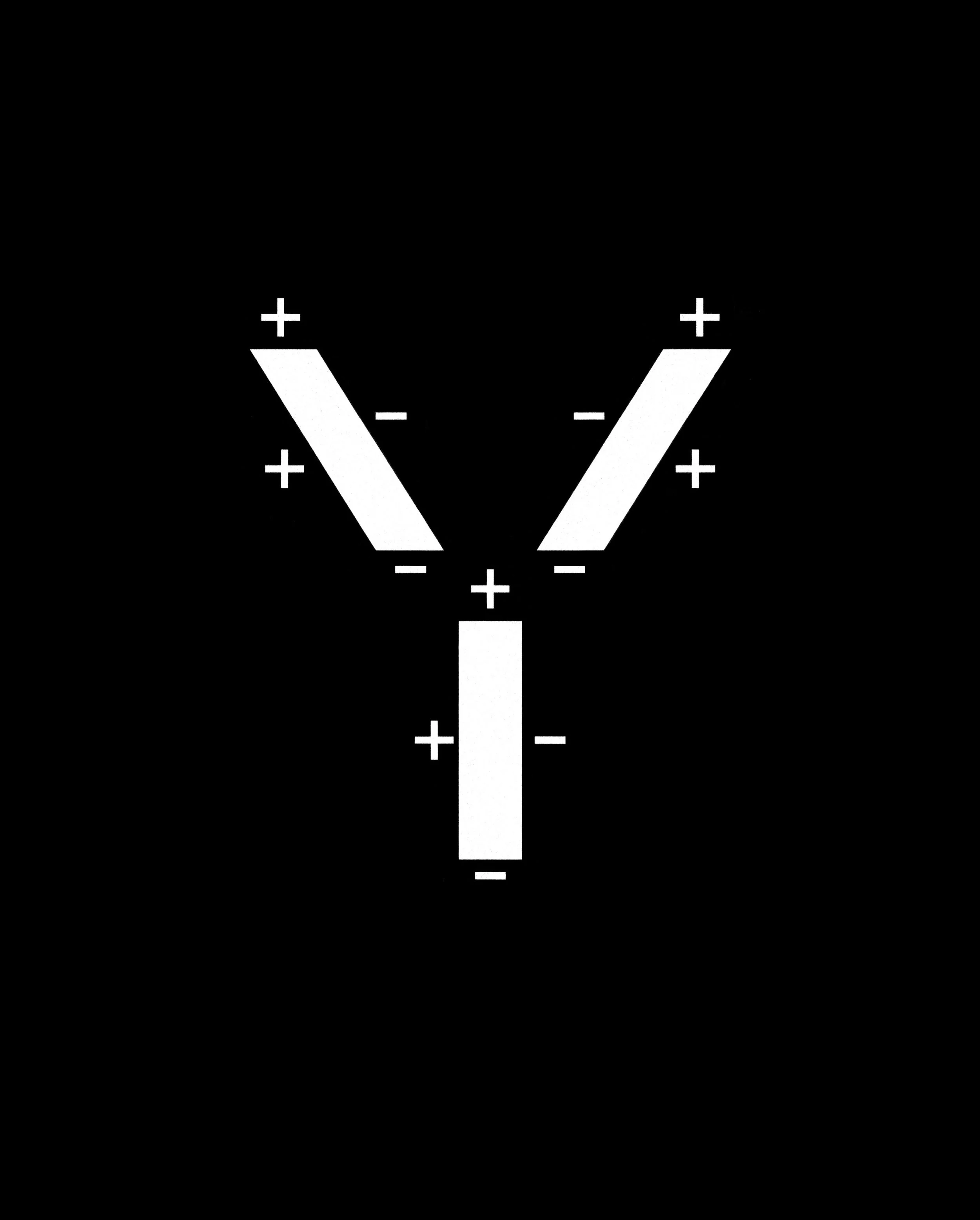 Y par Nicolas Pommier